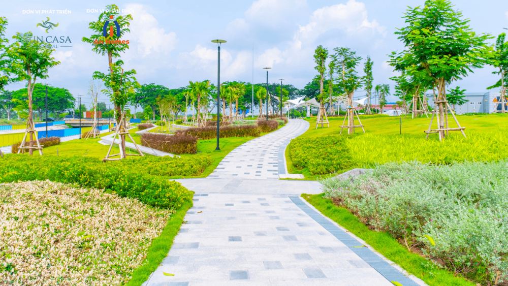 Hình thực tế 10